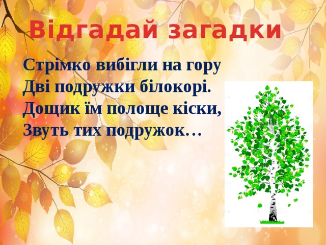 Відгадай загадки  Стрімко вибігли на гору Дві подружки білокорі. Дощик їм полоще кіски, Звуть тих подружок… 