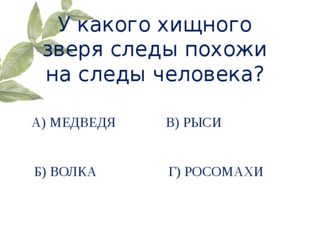 Похожие на след. Следы кокогохищного зверя похожи на человеческие. След какого хищного зверя похож на человеческий. След какого животного похож на след человека. Какой след похож на человеческий.