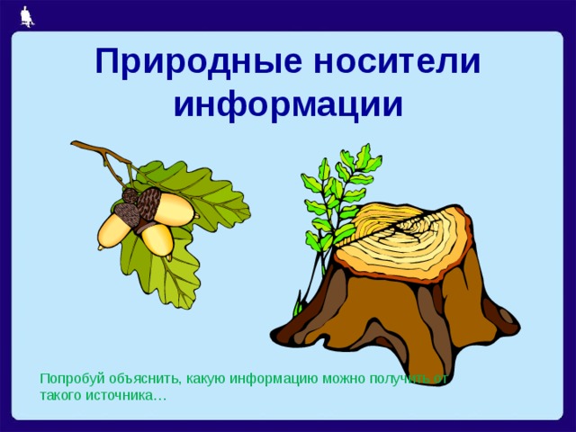 Природные носители информации Попробуй объяснить, какую информацию можно получить от такого источника… 