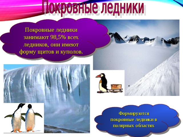 Покровные ледники занимают 98,5% всех ледников, они имеют форму щитов и куполов. Формируются покровные ледники в полярных областях 