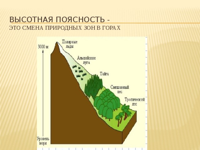 Природные зоны ВЫСОТНОЙ поясности. Высотная поясность гор. Высотная поясность это в географии в России.