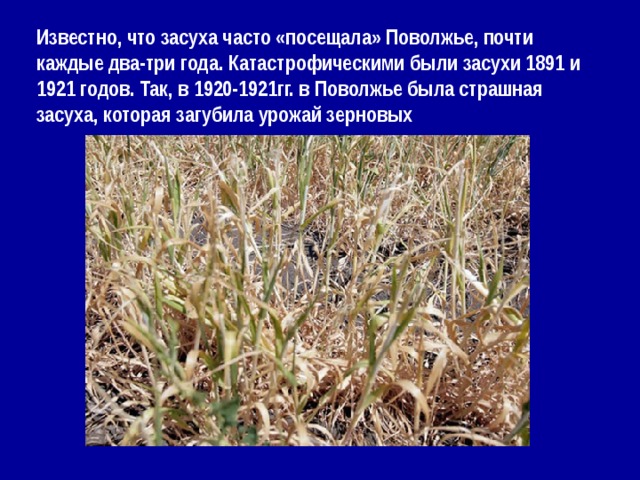 Известно, что засуха часто «посещала» Поволжье, почти каждые два-три года. Катастрофическими были засухи 1891 и 1921 годов. Так, в 1920-1921гг. в Поволжье была страшная засуха, которая загубила урожай зерновых 