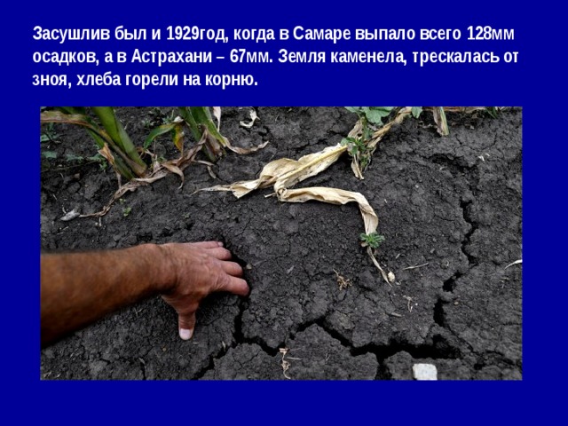Засушлив был и 1929год, когда в Самаре выпало всего 128мм осадков, а в Астрахани – 67мм. Земля каменела, трескалась от зноя, хлеба горели на корню.   