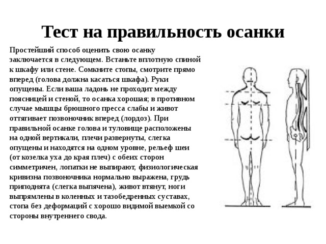 Тест на правильность осанки Простейший способ оценить свою осанку заключается в следующем. Встаньте вплотную спиной к шкафу или стене. Сомкните стопы, смотрите прямо вперед (голова должна касаться шкафа). Руки опущены. Если ваша ладонь не проходит между поясницей и стеной, то осанка хорошая; в противном случае мышцы брюшного пресса слабы и живот оттягивает позвоночник вперед (лордоз). При правильной осанке голова и туловище расположены на одной вертикали, плечи развернуты, слегка опущены и находятся на одном уровне, рельеф шеи (от козелка уха до края плеч) с обеих сторон симметричен, лопатки не выпирают, физиологическая кривизна позвоночника нормально выражена, грудь приподнята (слегка выпячена), живот втянут, ноги выпрямлены в коленных и тазобедренных суставах, стопа без деформаций с хорошо видимой выемкой со стороны внутреннего свода.   