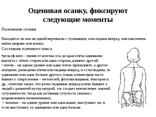 Оценивая осанку, фиксируют следующие моменты Положение головы Находится ли она на одной вертикали с туловищем, или подана вперед, или наклонена набок (вправо или влево).   Состояние плечевого пояса    рельеф шеи – линия от козелка уха до края плеча одинаково выгнута с обеих сторон или одна сторона длиннее другой; • плечи – на одном уровне или одно плечо приподнято, а другое опущено; разведены плечи или поданы вперед, и если поданы, то одинаково или одно больше другого (такая асимметрия часто бывает у спортсменов – метателей, фехтовальщиков, боксеров и др.; отметим также, что резко поданные вперед плечи бывают у людей с развитой мускулатурой, это создает впечатление ложной сутуловатости, тогда как истинная сутулость связана с искривлением позвоночника); • лопатки – на одном уровне или одна выше; выступают ли, и если выступают, то одинаково или одна больше.    