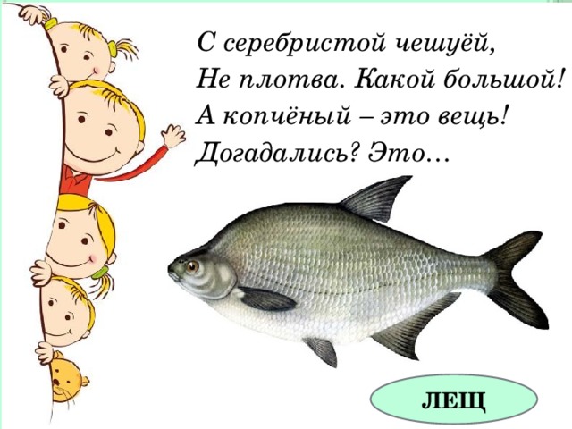 С серебристой чешуёй, Не плотва. Какой большой! А копчёный – это вещь! Догадались? Это… ЛЕЩ 