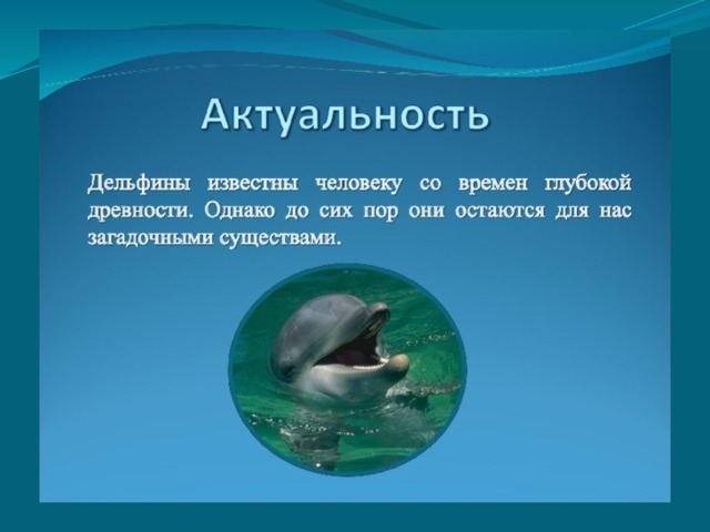 Дельфины слова текст. Проект про дельфина. Проект про дельфинов. Факты о дельфинах. Цитаты про дельфинов.