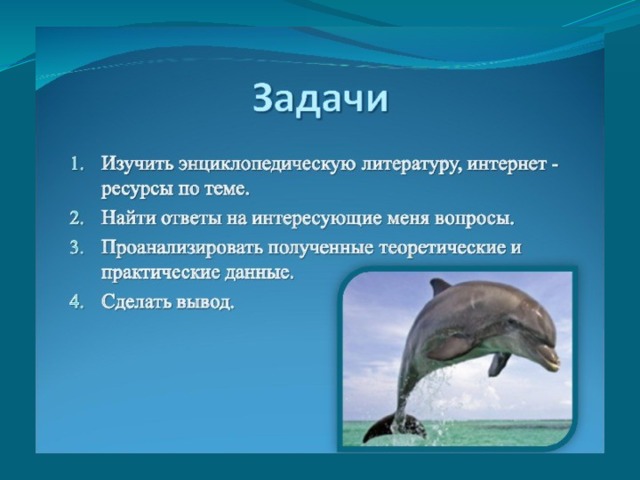 Дельфин относится к группе животных. Дельфины относятся к классу. К какому классу относится Дельфин. К какому классу рыб относится Дельфин.