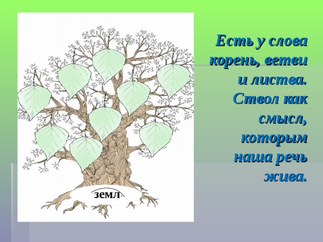 Есть у слова корень, ветви и листва.  Ствол как смысл, которым наша речь жива. земл - 