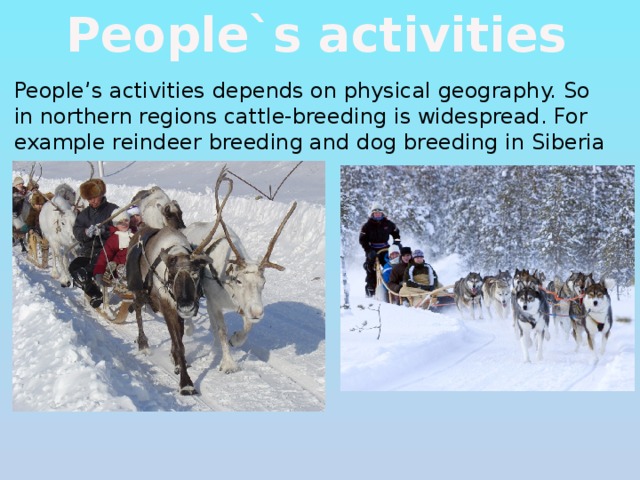 People`s activities People’s activities depends on physical geography. So in northern regions cattle-breeding is widespread. For example reindeer breeding and dog breeding in Siberia 