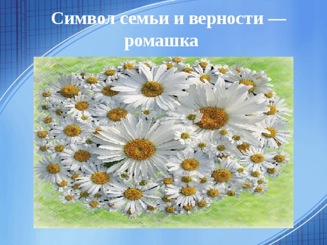 Символ ромашки непоседы. Ромашка символ семьи. Ромашка для презентации.