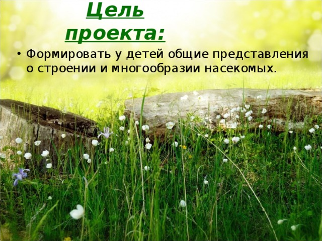 Цель проекта: Формировать у детей общие представления о строении и многообразии насекомых.  