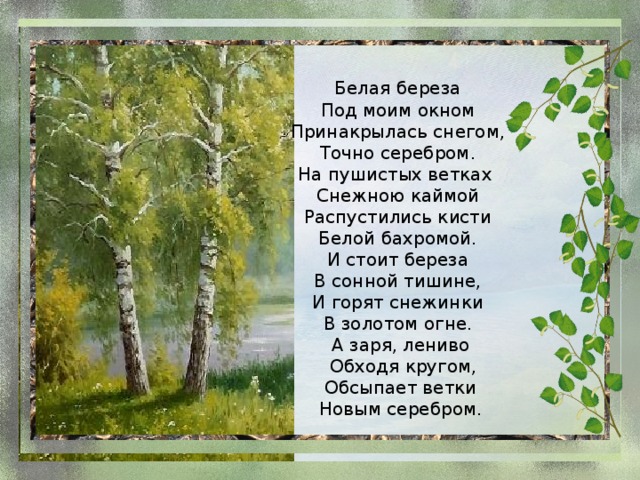 Белая береза Под моим окном Принакрылась снегом, Точно серебром. На пушистых ветках  Снежною каймой Распустились кисти Белой бахромой. И стоит береза В сонной тишине, И горят снежинки В золотом огне. А заря, лениво  Обходя кругом,  Обсыпает ветки Новым серебром.   