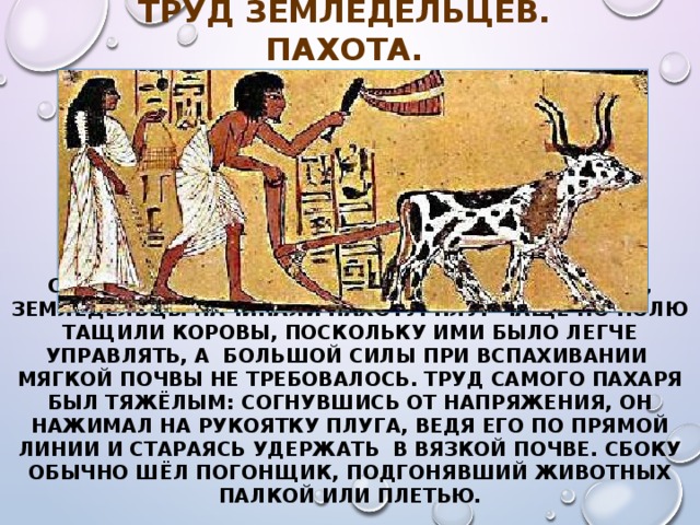 История 1 день