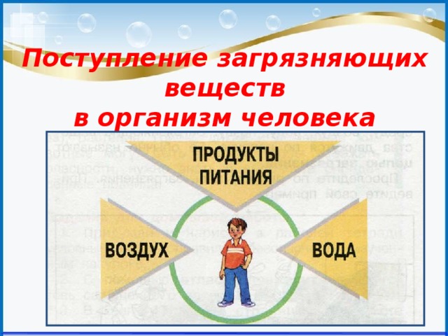 Модель поступления загрязняющих веществ в организм человека