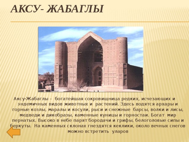 Аксу- Жабаглы   Аксу-Жабаглы –  богатейшая сокровищница редких, исчезающих и эндемичных видов животных и  растений. Здесь водятся архары и горные козлы, маралы и косули, рыси и снежные  барсы, волки и лисы, медведи и дикобразы, каменные куницы и горностаи. Богат  мир пернатых. Высоко в небе парят бородачи и грифы, белоголовые сипы и беркуты.  На каменных склонах гнездятся кеклики, около вечных снегов можно встретить  уларов  