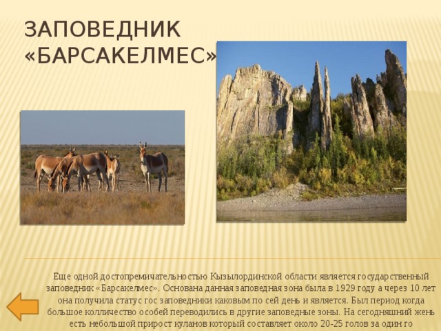 заповедник  «Барсакелмес» Еще одной достопремичательностью Кызылординской области является государственный заповедник «Барсакелмес». Основана данная заповедная зона была в 1929 году а через 10 лет она получила статус гос заповедники каковым по сей день и является. Был период когда большое колличество особей переводились в другие заповедные зоны. На сегодняшний жень есть небольшой прирост куланов который составляет около 20-25 голов за один го 