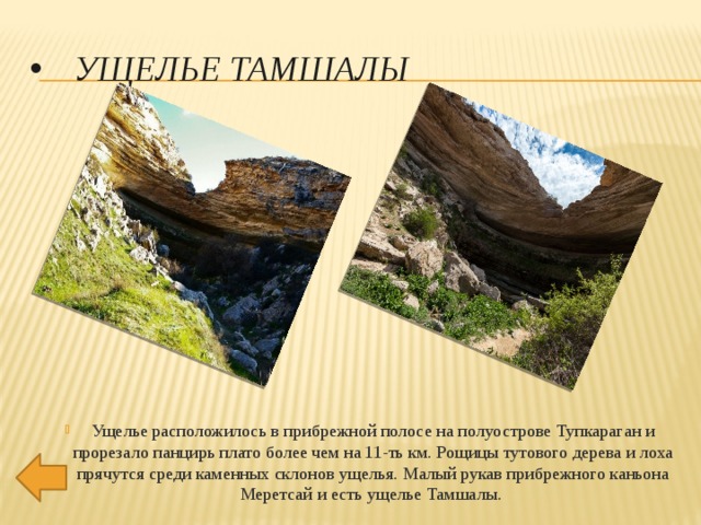 УЩЕЛЬЕ ТАМШАЛЫ Ущелье расположилось в прибрежной полосе на полуострове Тупкараган и прорезало панцирь плато более чем на 11-ть км. Рощицы тутового дерева и лоха прячутся среди каменных склонов ущелья. Малый рукав прибрежного каньона Меретсай и есть ущелье Тамшалы.  