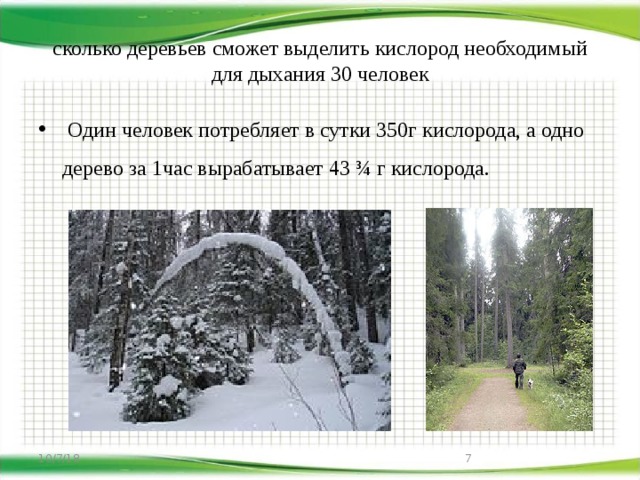 Сколько кислорода вырабатывает одно дерево в сутки