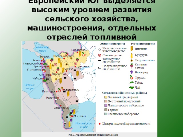 Европейский Юг выделяется высоким уровнем развития сельского хозяйства, машиностроения, отдельных отраслей топливной промышленности.    