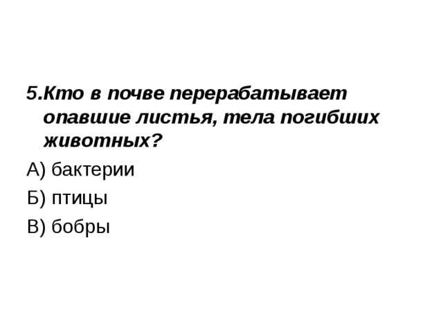 Опавшие листья перерабатываются почвенными микроорганизмами. Кто в почве перерабатывает опавшие листья тела погибших животных. Кто в почве перерабатывает опавшие листья. Кто в почве перерабатывает опавшей листве тела погибших животных. 9 Кто в почве перерабатывает опавшие листья тела погибших животных.