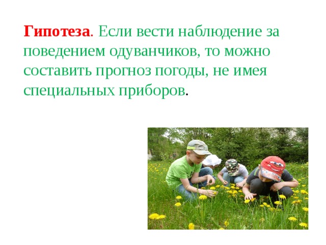 Вел наблюдение. Гипотеза прогноз погоды. Народные приметы о погоде за поведением животных. Гипотеза прогноза. Гипотеза предсказание прогноз.