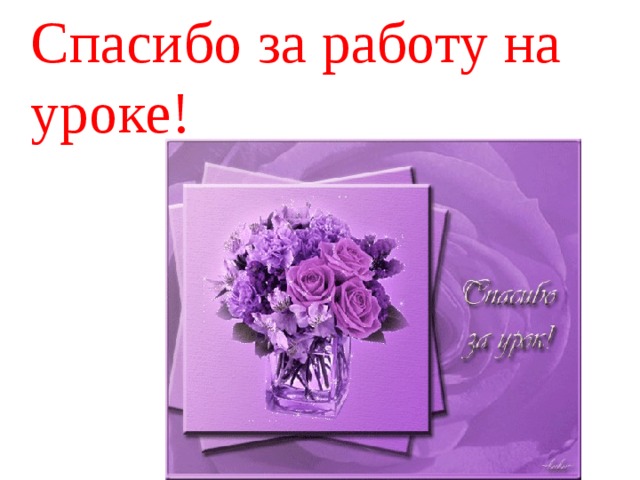 Спасибо за работу на уроке!