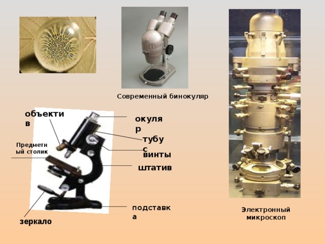 Увеличительным прибором является микроскоп штатив предметный столик тубус