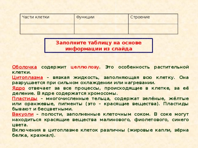 Части клетки Функции Строение Заполните таблицу на основе информации из слайда Оболочка содержит целлюлозу . Это особенность растительной клетки. Цитоплазма – вязкая жидкость, заполняющая всю клетку. Она разрушается при сильном охлаждении или нагревании. Ядро отвечает за все процессы, происходящие в клетке, за её деление. В ядре содержатся хромосомы. Пластиды – многочисленные тельца, содержат зелёные, жёлтые или оранжевые, пигменты (это – красящие вещества). Пластиды бывают и бесцветными. Вакуоли – полости, заполненные клеточным соком. В соке могут находиться красящие вещества малинового, фиолетового, синего цвета. Включения в цитоплазме клеток различны (жировые капли, зёрна белка, крахмал). 