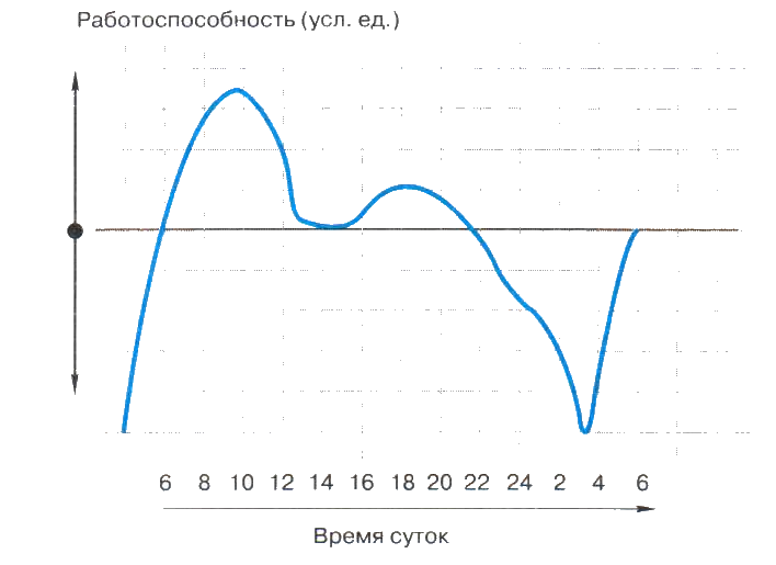 График позднее. Графики работоспособности. График работоспособности человека. График работоспособности человека в течении суток. Пользуясь графиком изменения работоспособности.