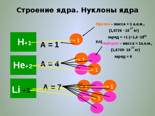 Строение ядра. Нуклоны ядра Протон – масса = 1 а.е.м.,  (1,6726 · 10 кг)  заряд = +1 (+1,6 ·10 Кл) -27 - 19 Н +1 + 1 А = 1 Нейтрон – масса = 1а.е.м.,  (1,6749· 10 кг)  заряд = 0 -27 + 1 Не +2 А = 4 + 1 А = 7 + 1 Li + 1 +3 + 1 