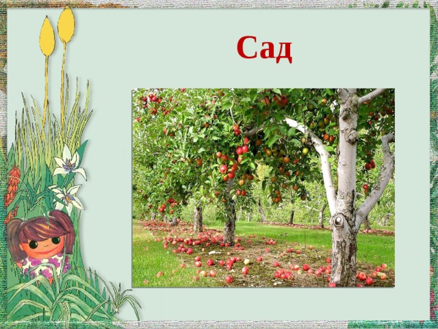 Сад 