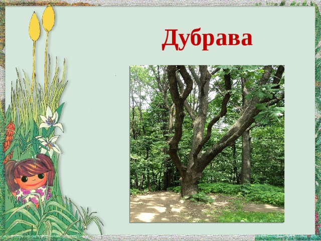 Дубрава 