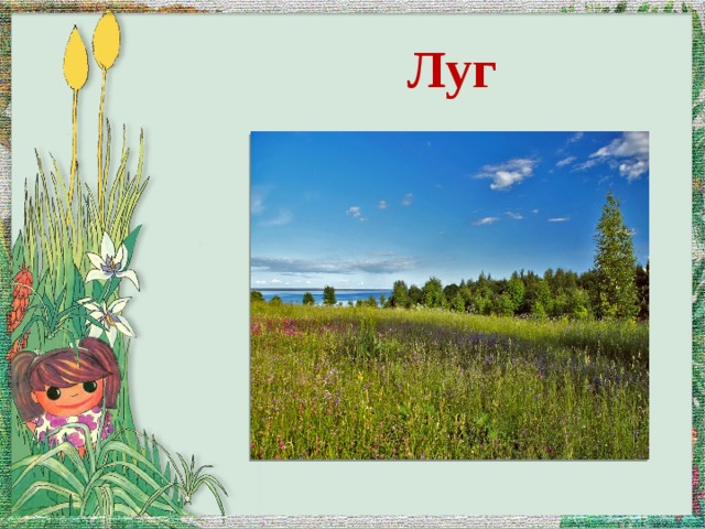 Луг 