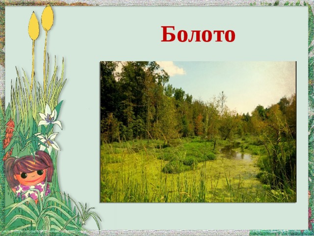 Болото 