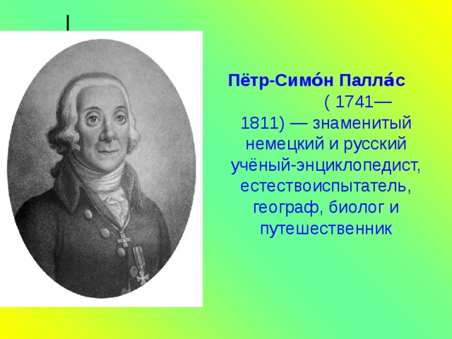 Пётр-Симо́н  Палла́с ( 1741—1811) — знаменитый немецкий и русский учёный-энциклопедист, естествоиспытатель, географ, биолог и путешественник 