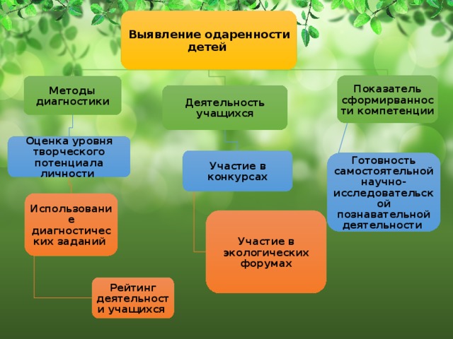 Выявление одаренности детей Показатель сформирванности компетенции Методы диагностики Деятельность учащихся Оценка уровня творческого потенциала личности Участие в конкурсах Готовность самостоятельной научно-исследовательской познавательной деятельности Использование диагностических заданий Участие в экологических форумах Рейтинг деятельности учащихся 