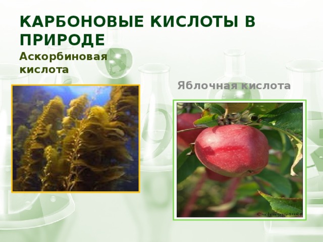 Карбоновые кислоты в природе Аскорбиновая кислота Яблочная кислота 