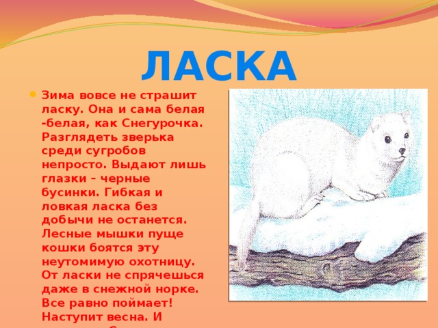 Ласка новый уренгой