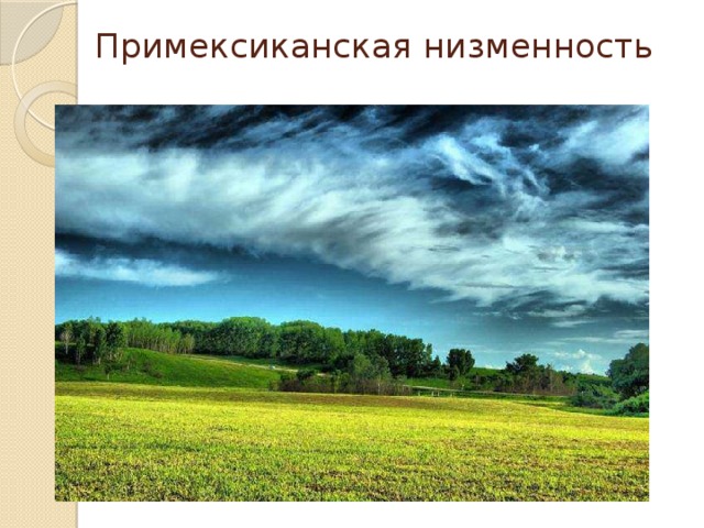 Примексиканская низменность 