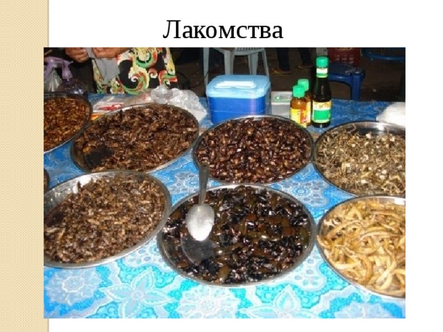 Лакомства 