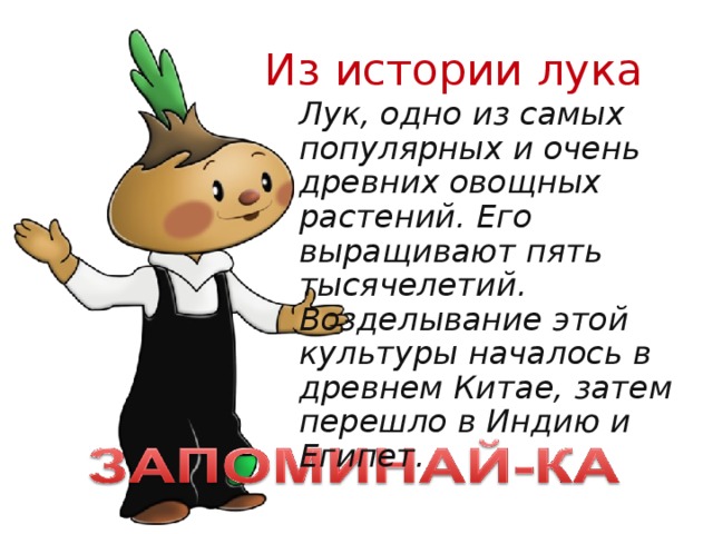 План текста лук от семи недуг