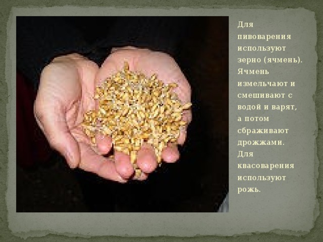 Для пивоварения используют зерно (ячмень). Ячмень измельчают и смешивают с водой и варят, а потом сбраживают дрожжами. Для квасоварения используют рожь. 
