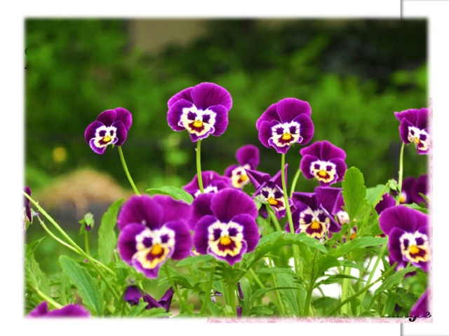 А я от души благодарю всех, кто принял участие в нашем мастер-классе и поздравляю с наступающим праздником 8 марта!  СПАСИБО за внимание!  