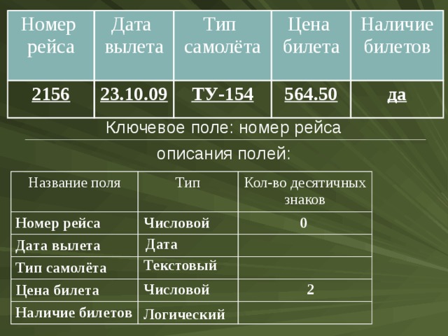 Номер рейса Дата вылета 2156 23.10.09 Тип самолёта Цена билета ТУ-154 Наличие билетов 564.50 да  Ключевое поле: номер рейса  описания полей: Название поля Номер рейса Тип Дата вылета Кол-во десятичных знаков Тип самолёта Цена билета Наличие билетов Числовой 0 Дата Текстовый Числовой 2 Логический 