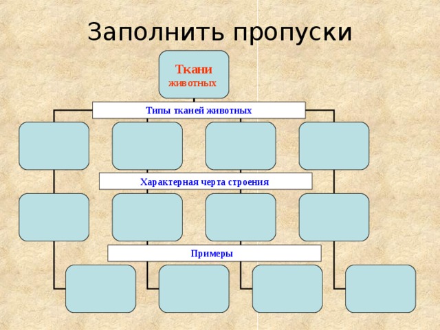 Заполните пропуск в схеме наука хозяйство