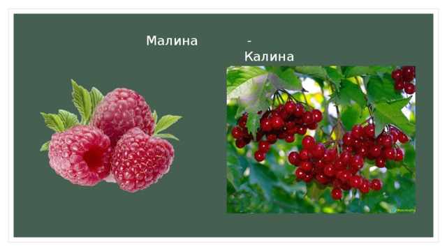 Карта калина малина