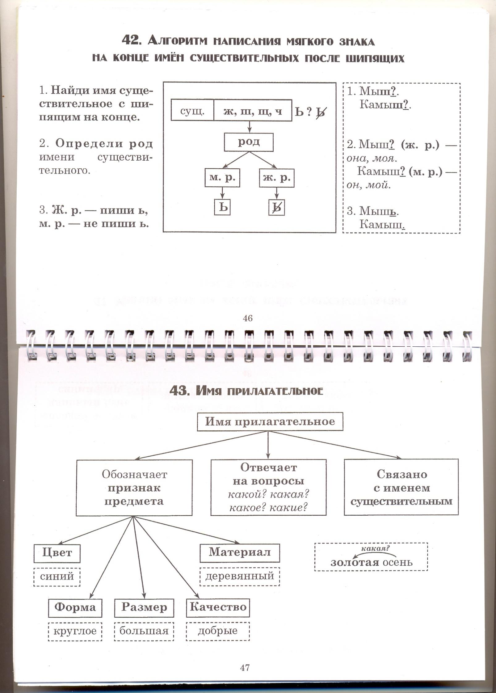Русский в схемах и схемах