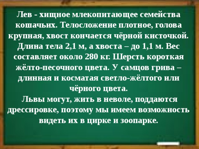 Лев - хищное млекопитающее семейства кошачьих. Телосложение плотное, голова крупная, хвост кончается чёрной кисточкой. Длина тела 2,1 м, а хвоста – до 1,1 м. Вес составляет около 280 кг. Шерсть короткая жёлто-песочного цвета. У самцов грива – длинная и косматая светло-жёлтого или чёрного цвета.   Львы могут, жить в неволе, поддаются дрессировке, поэтому мы имеем возможность видеть их в цирке и зоопарке.