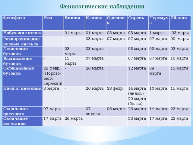 Фенологические наблюдения